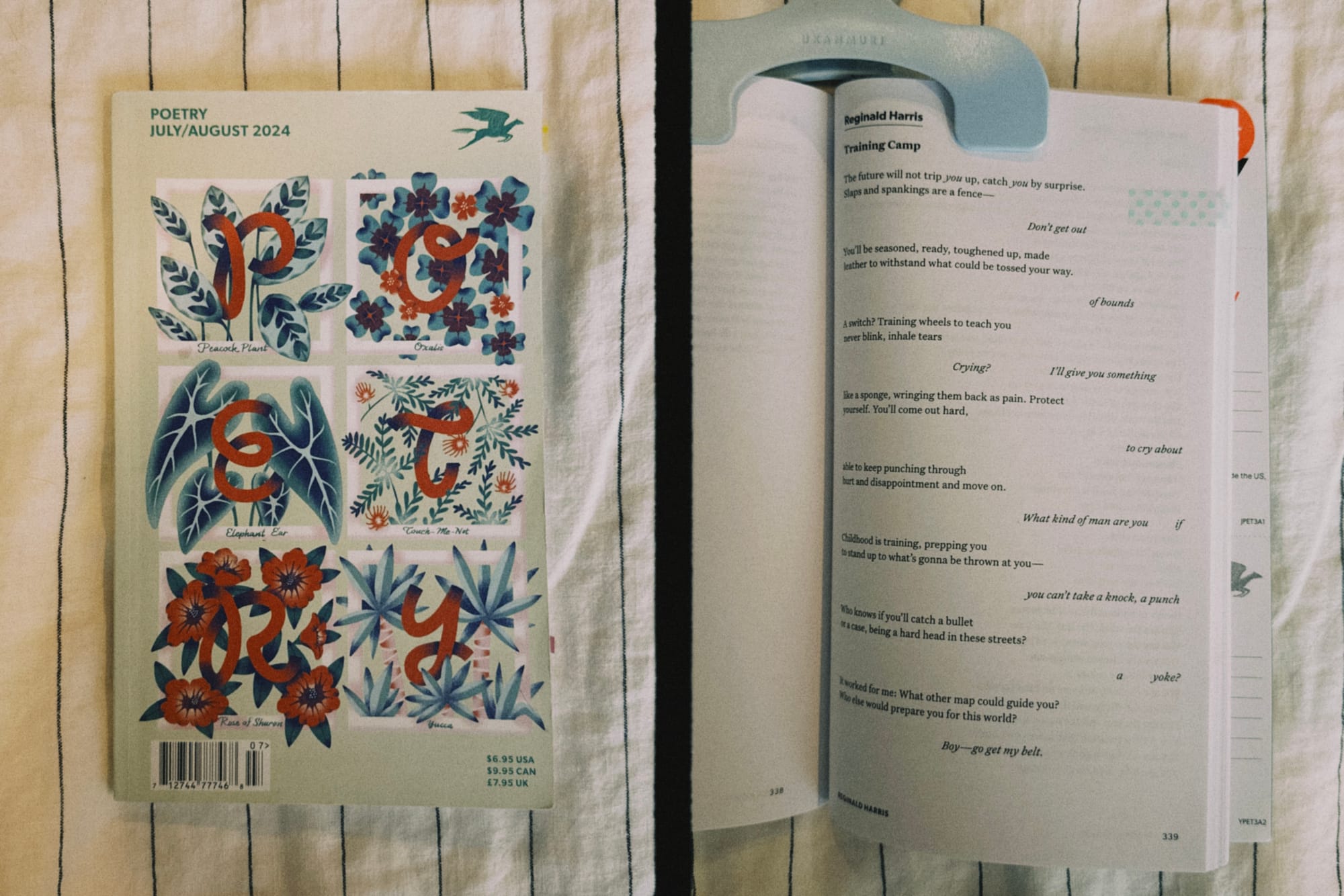 Turning Pages | Summer 2025