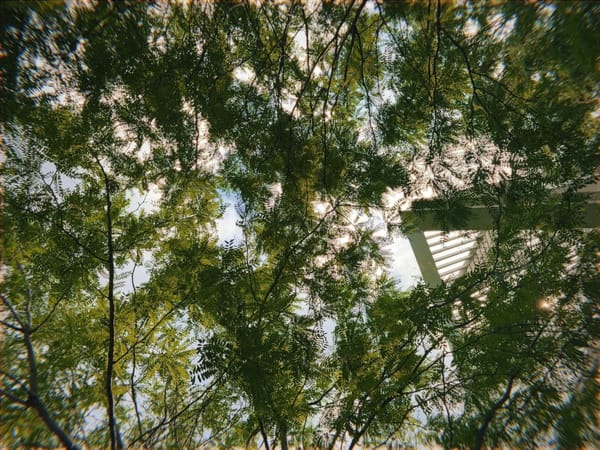 Letter to you | July 2024