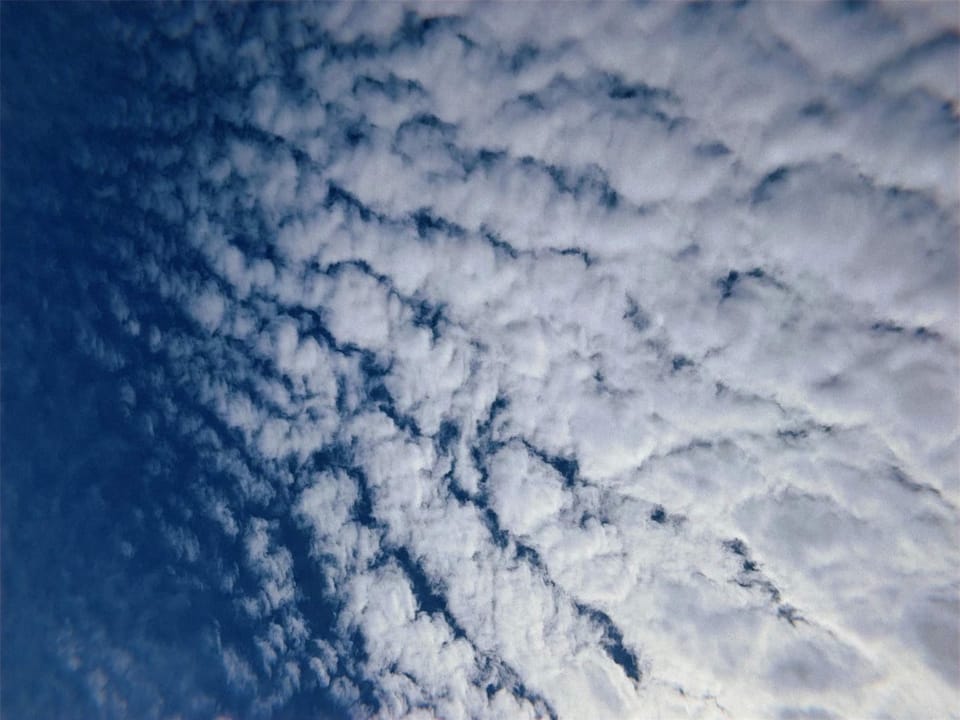 Letter to you | March 2024