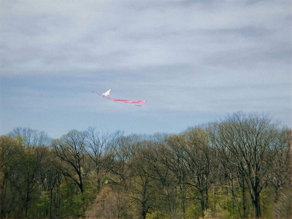 Letter to you | April 2024