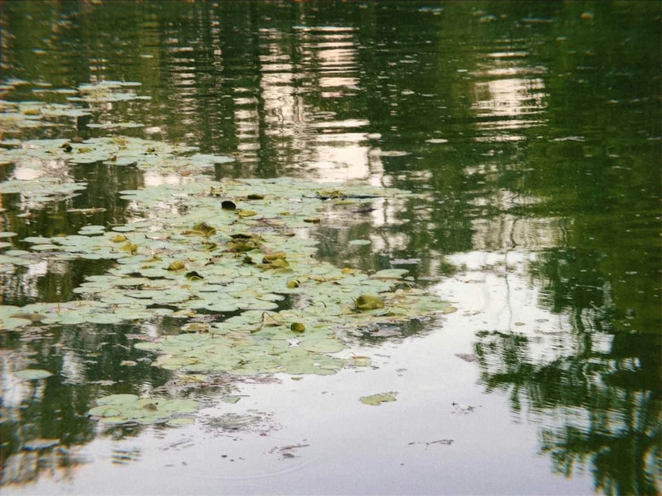 Letter to you | June 2024