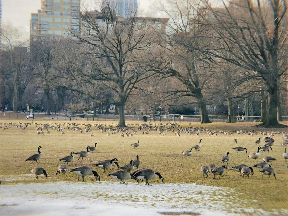 Letter to you | Feb 2025