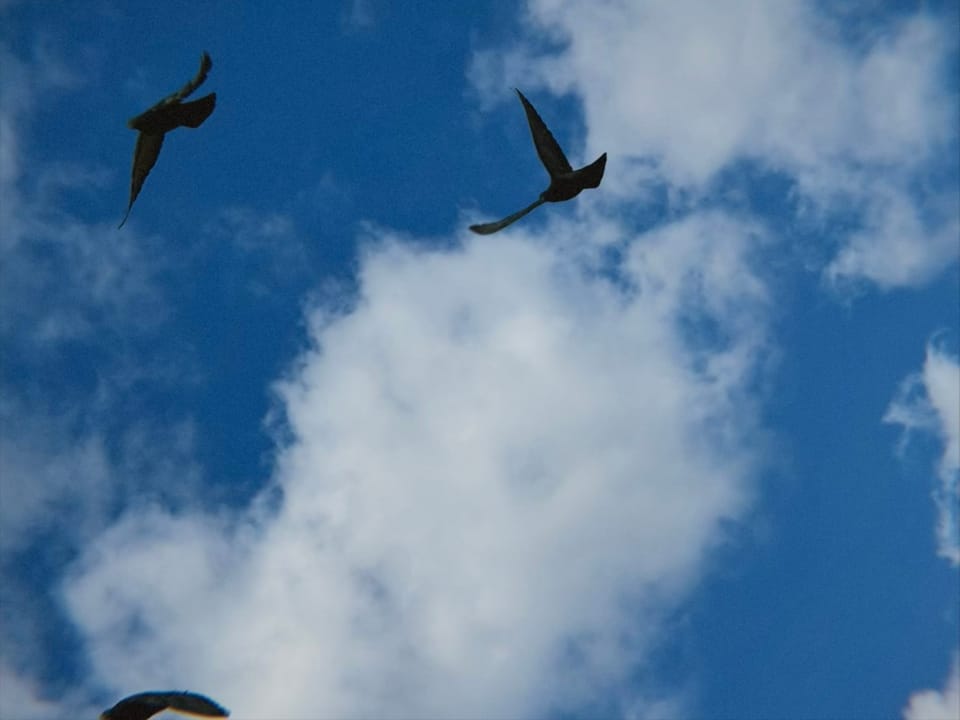 Letter to You | Nov 2025