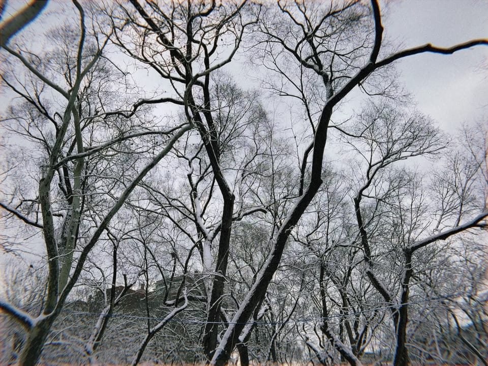 Letter to You | Dec 2025